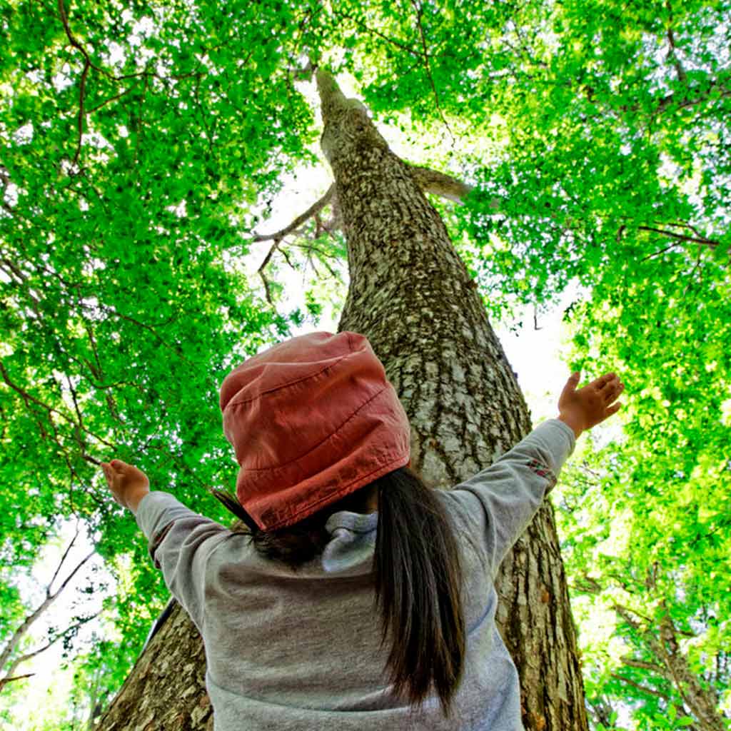 Normativa sobre literas en instalaciones juveniles y campamentos