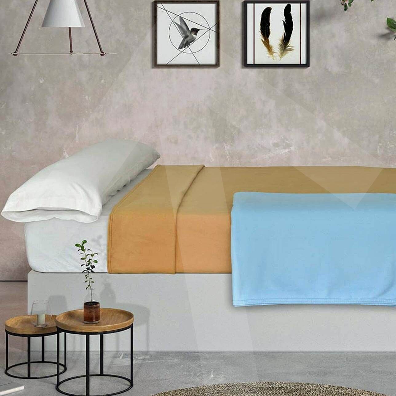 Manta Polar; foto ambiente