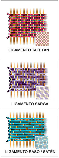 Ligamento o estructura de las sábanas